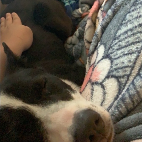 Meet your Posher, Heather - Picture 1 of 1